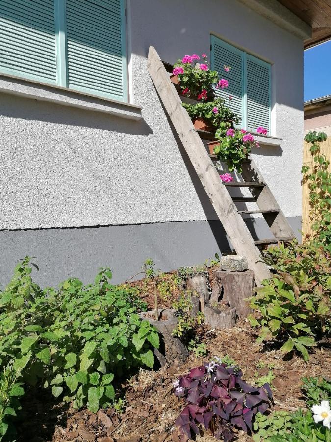 Menta Apartman Mezőkövesd Dış mekan fotoğraf